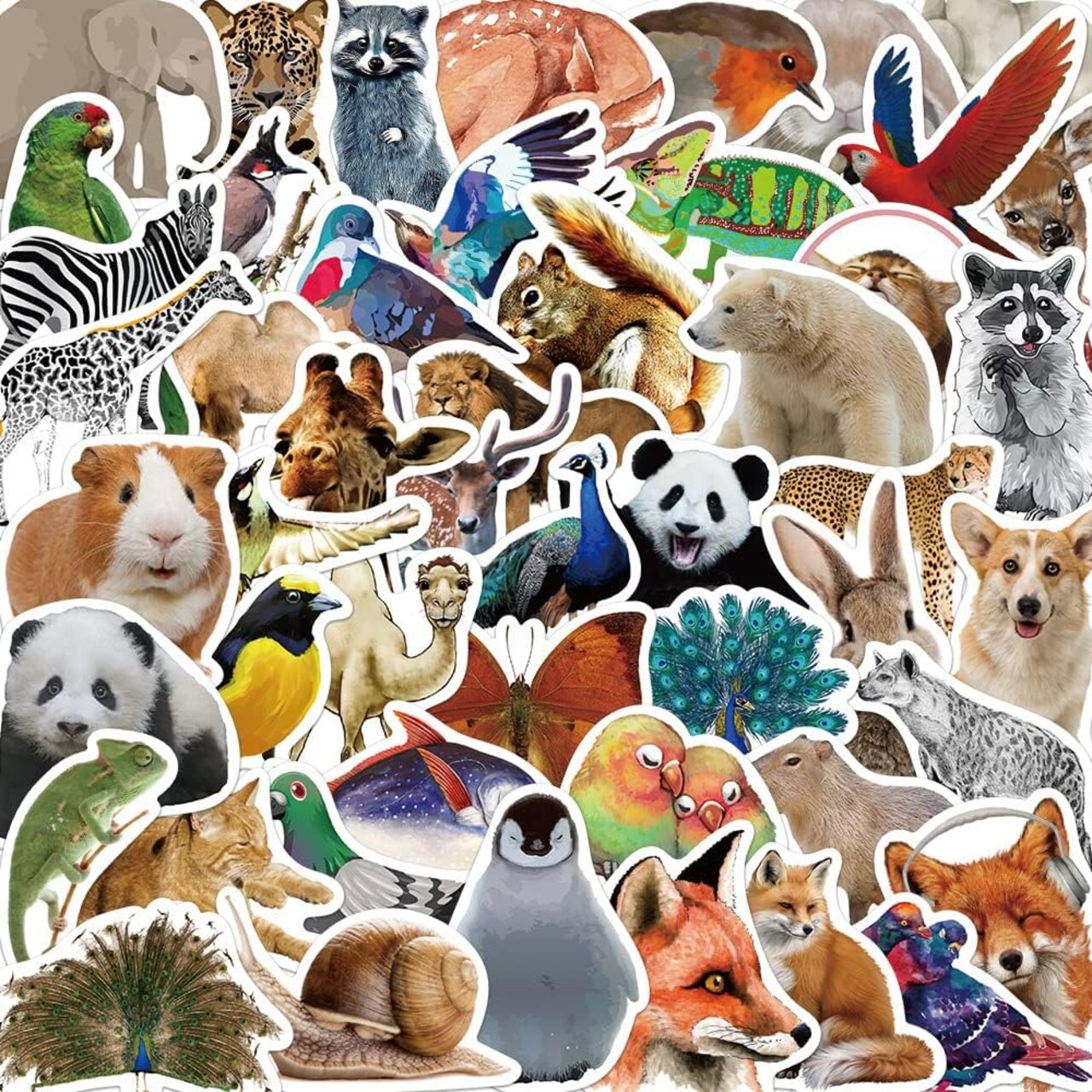 Cute Animal Stickers - Realistic Animals Decal for Kids Teens